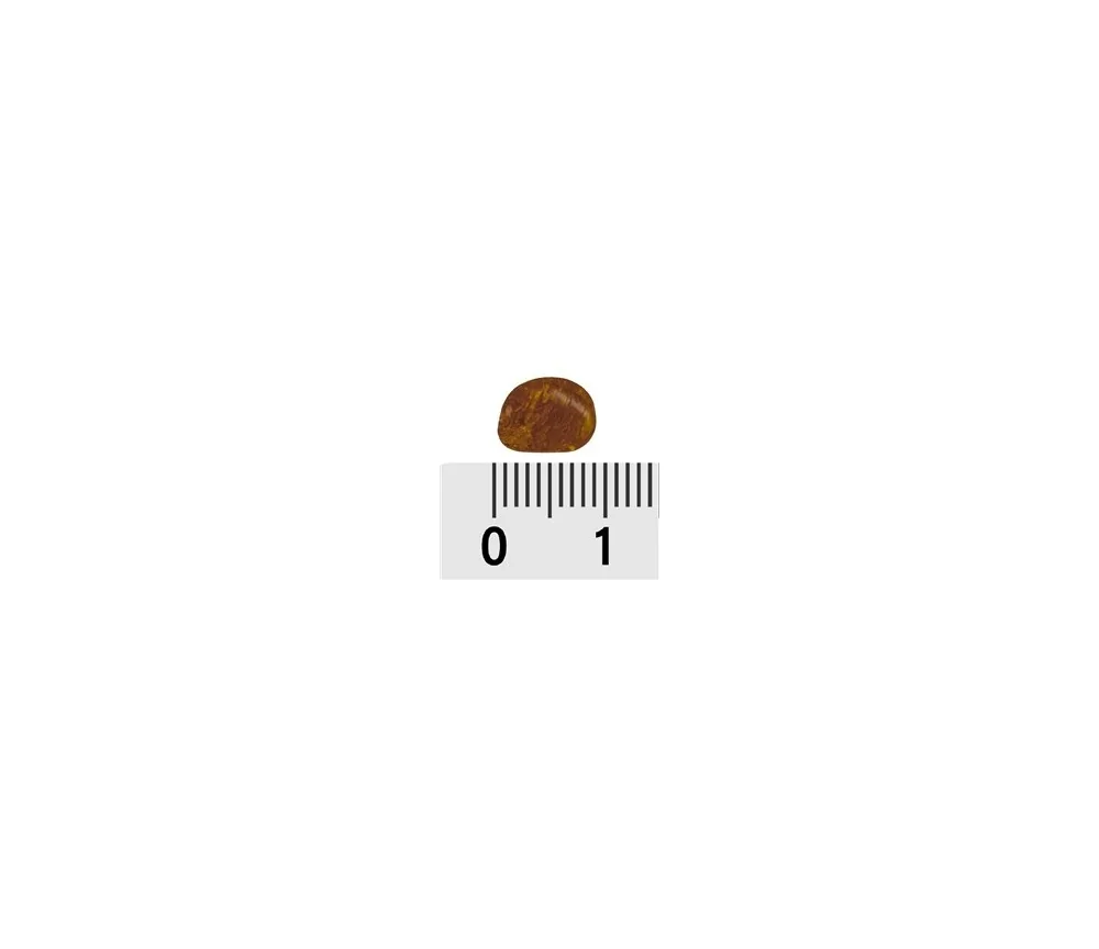 Trommelsteine - Bernstein - cognac- 0,3 - 0,5cm - B3 - 500gr Beutel