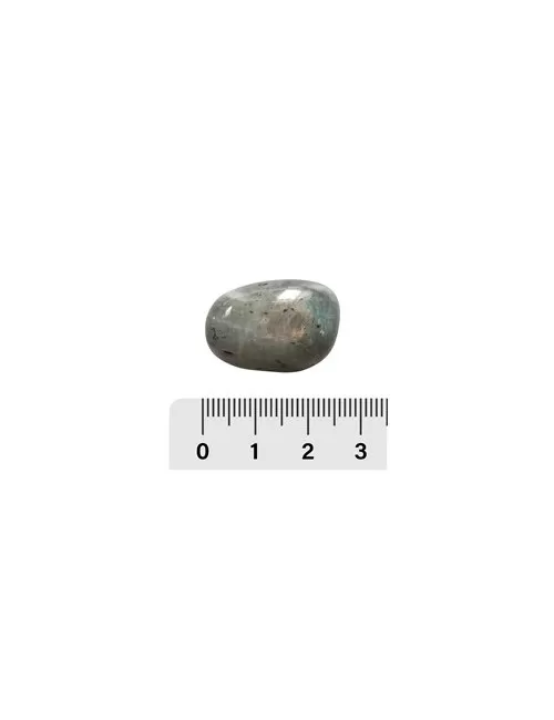 Trommelsteine - Labradorit, 2,2 - 2,7cm - L - 500gr Beutel