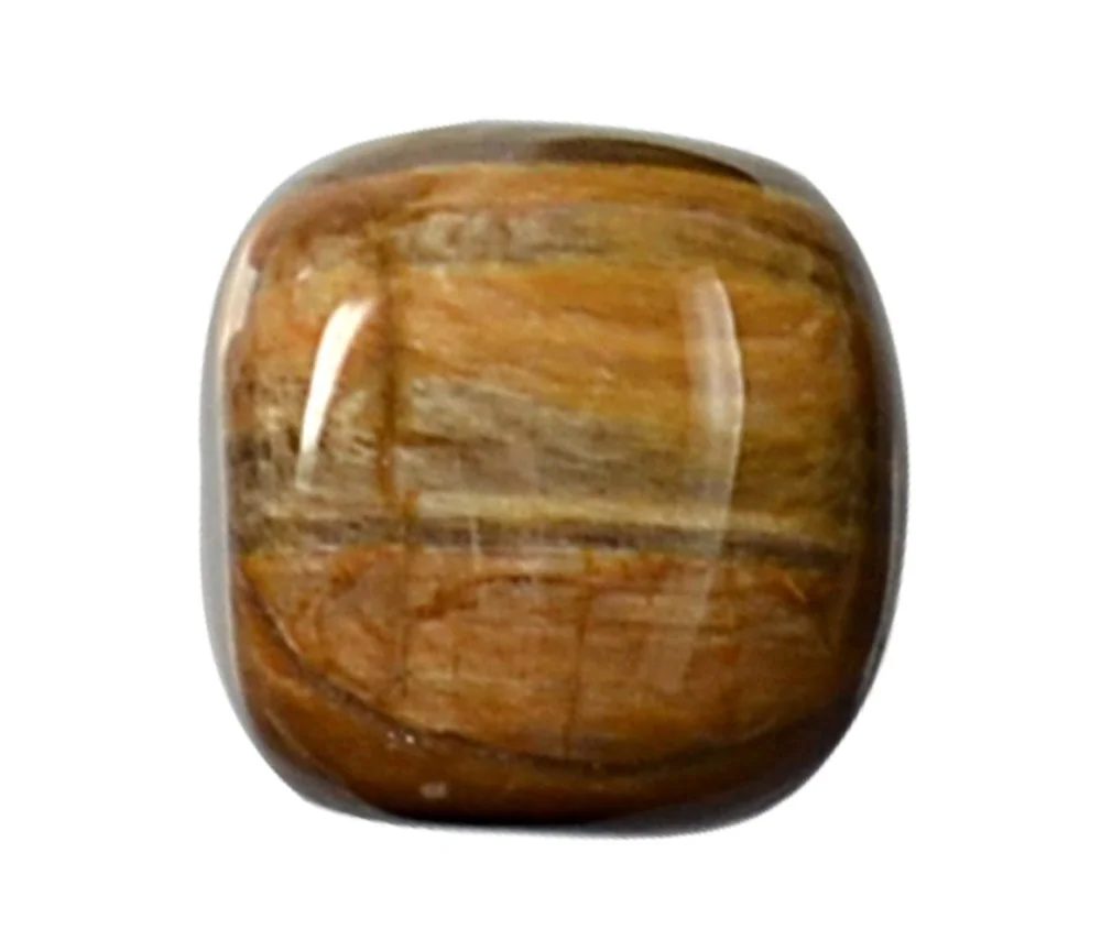 Trommelsteine - versteinertes Holz, 3,0 - 4,0cm - XL - 500gr Beutel