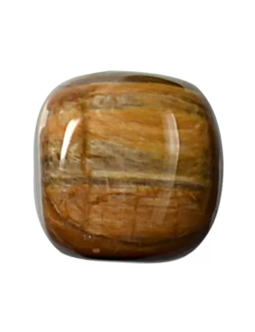 Trommelsteine - versteinertes Holz