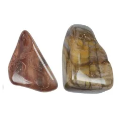 Trommelsteine - versteinertes Holz, 2,2 - 4,0cm - L - 500gr Beutel