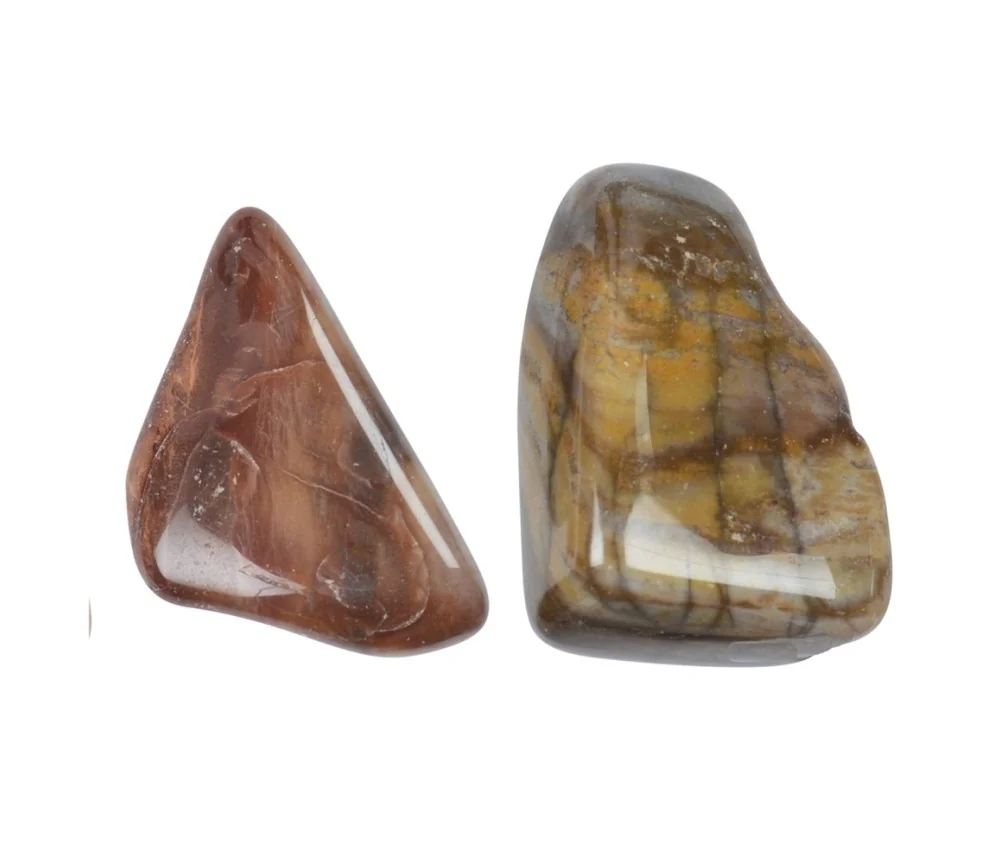 Trommelsteine - versteinertes Holz, 2,2 - 4,0cm - L - 500gr Beutel