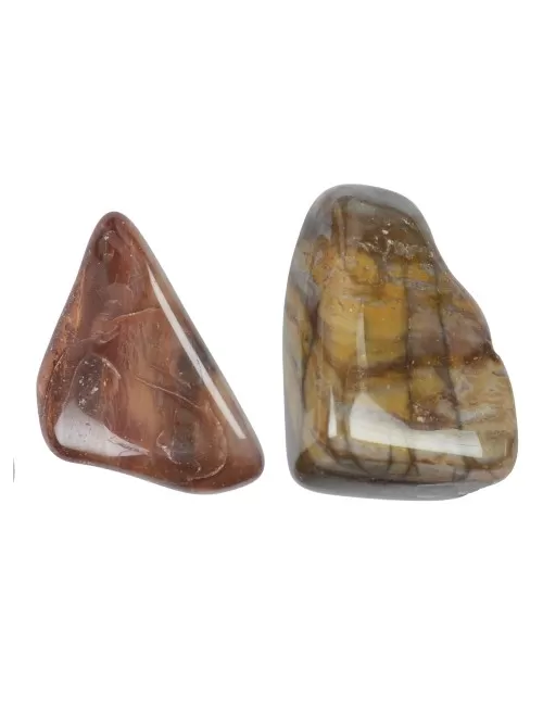 Trommelsteine - versteinertes Holz, 2,2 - 4,0cm - L - 500gr Beutel