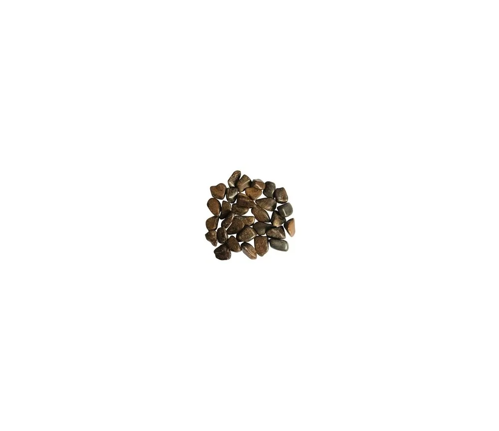 Trommelsteine - Bronzit, 2,5 - 4,0cm - L - 500gr Beutel