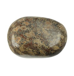 Trommelsteine - Jaspis - Leopardenfelljaspis- 4,0 - 6,0cm - Jumbo - 500gr Beutel
