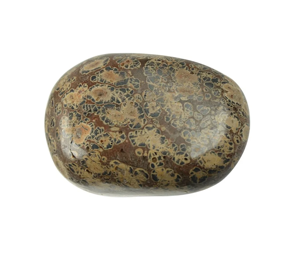 Trommelsteine - Jaspis - Leopardenfelljaspis- 4,0 - 6,0cm - Jumbo - 500gr Beutel