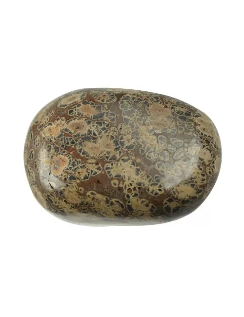 Trommelsteine - Jaspis - Leopardenfelljaspis- 4,0 - 6,0cm - Jumbo - 500gr Beutel