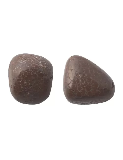 Trommelsteine - Kalkoolith - Margaritastein- 2