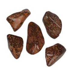 Trommelsteine - Jaspis - Sternjaspis- 2,0 - 3,0cm - 100gr Beutel