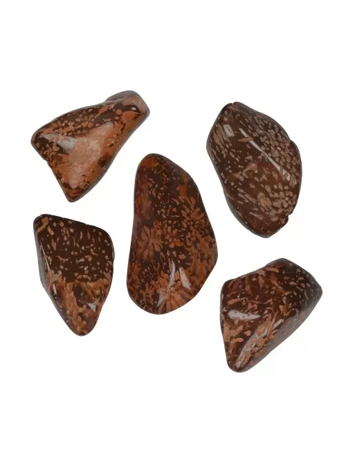 Trommelsteine - Jaspis - Sternjaspis- 2