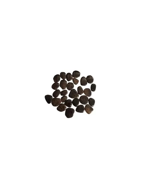 Heil- & Edelsteine - Scheibensteine - Granat (Almandin), 2,5 - 3,5cm (klein, flach) - 500gr Beutel