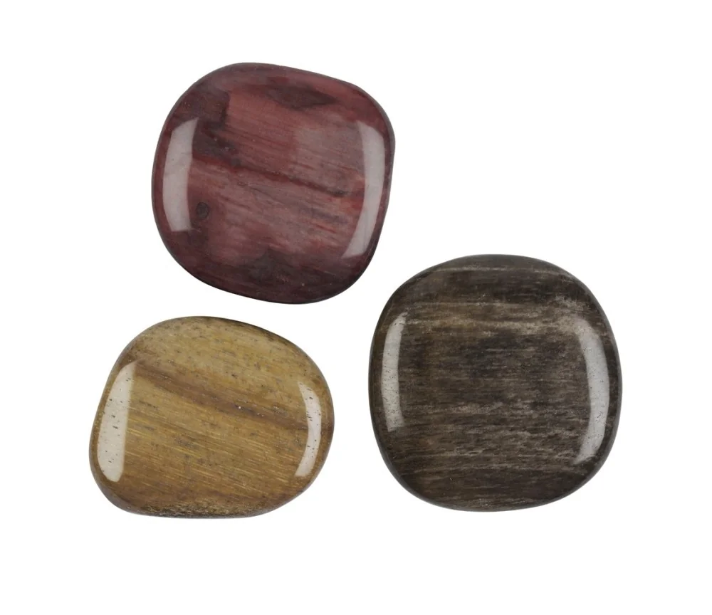 Heil- & Edelsteine - Scheibensteine - versteinertes Holz - 500gr Beutel