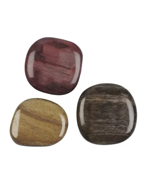 Heil- & Edelsteine - Scheibensteine - versteinertes Holz - 500gr Beutel