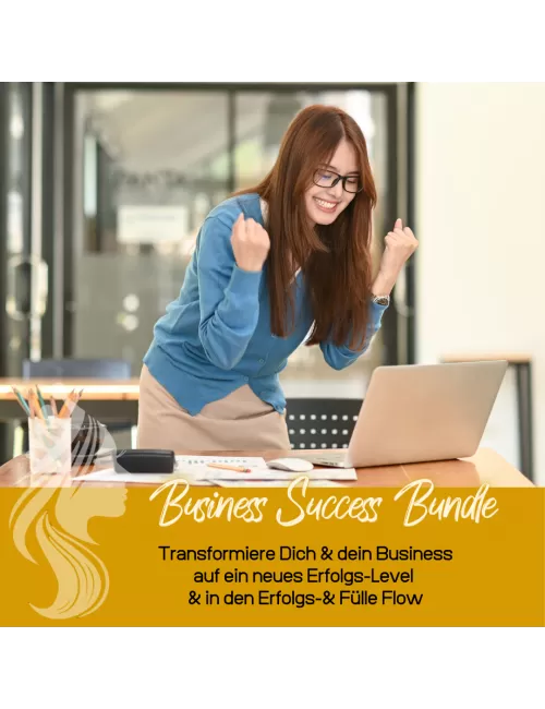 Business Success Sessions - deine Business Erfolgstransformation
