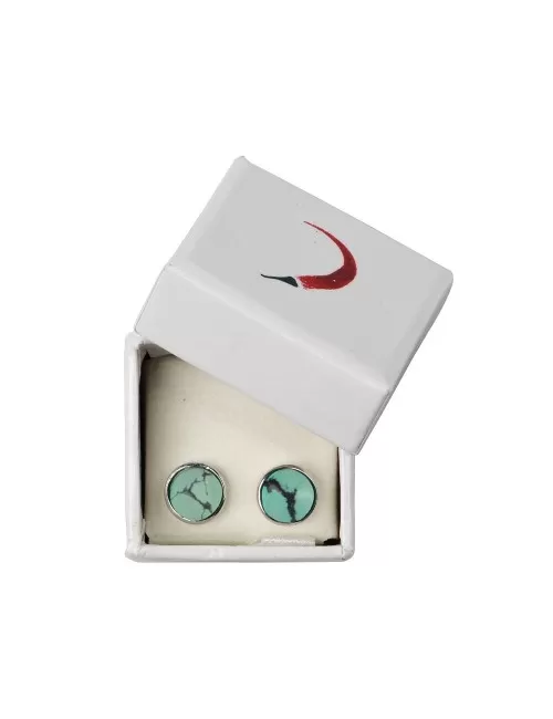 Heilsteine & Edelsteine - Ohrstecker - Türkis (stab.)