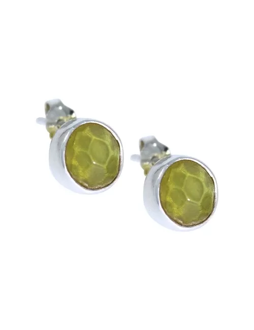 Heilsteine & Edelsteine - Ohrstecker - Kopal (7-8mm) rund