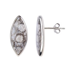 Heilsteine & Edelsteine - Ohrstecker - versteinerte Koralle (grau) Navette, 2,2cm, platiniert