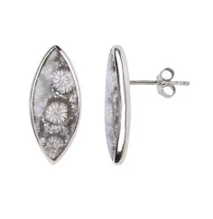 Heilsteine & Edelsteine - Ohrstecker - versteinerte Koralle (grau) Navette, 2,2cm, platiniert