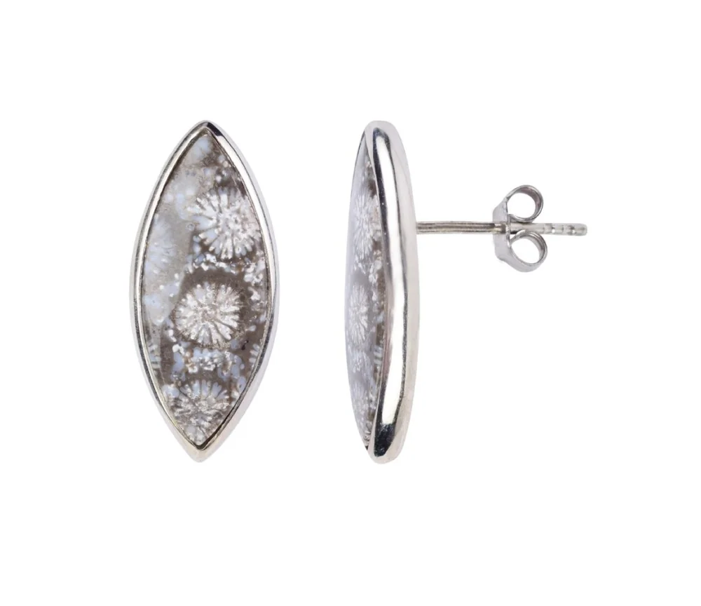 Heilsteine & Edelsteine - Ohrstecker - versteinerte Koralle (grau) Navette, 2,2cm, platiniert