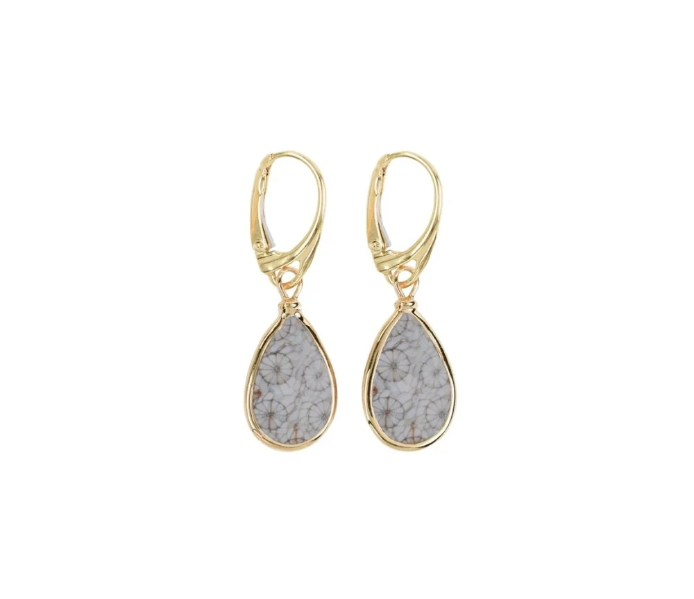 Ohrringe - versteinerte Koralle (grau) Tropfen (18 x 12mm), 4,0cm, vergoldet