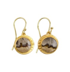 Ohrringe - versteinertes Palmholz rund, 3,4cm, vergoldet