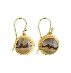 Ohrringe - versteinertes Palmholz rund, 3,4cm, vergoldet