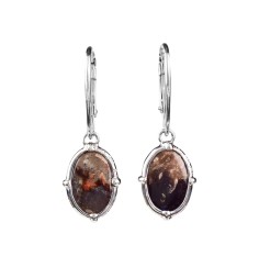 Ohrringe - Versteinertes Palmholz oval, 3,4cm, rhodiniert