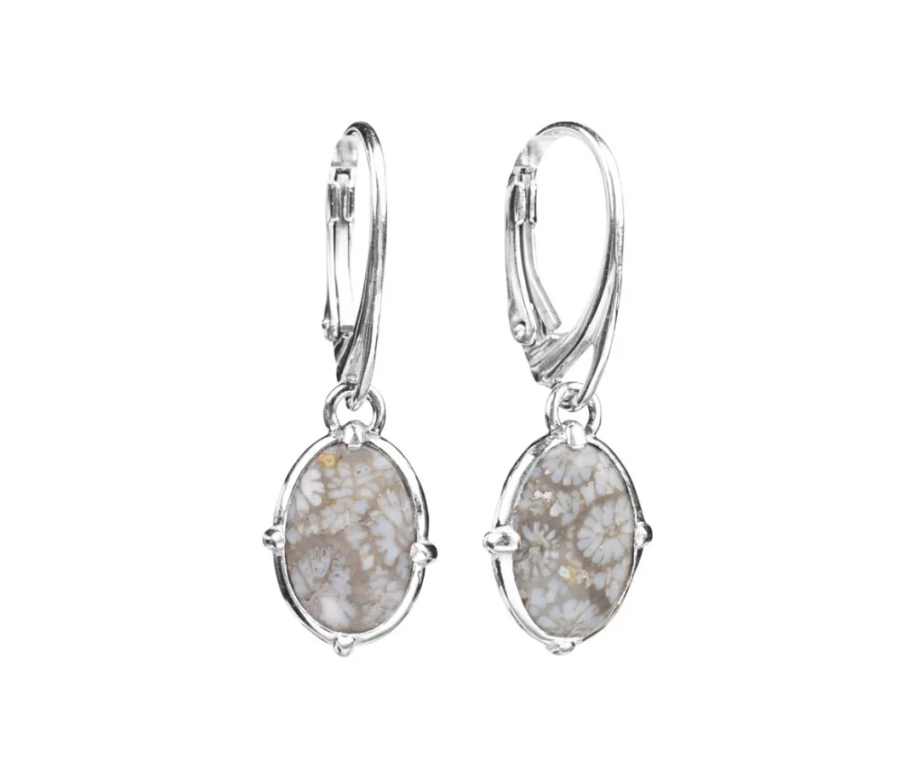 Ohrringe - versteinerte Koralle (grau) oval, 3,4cm, rhodiniert