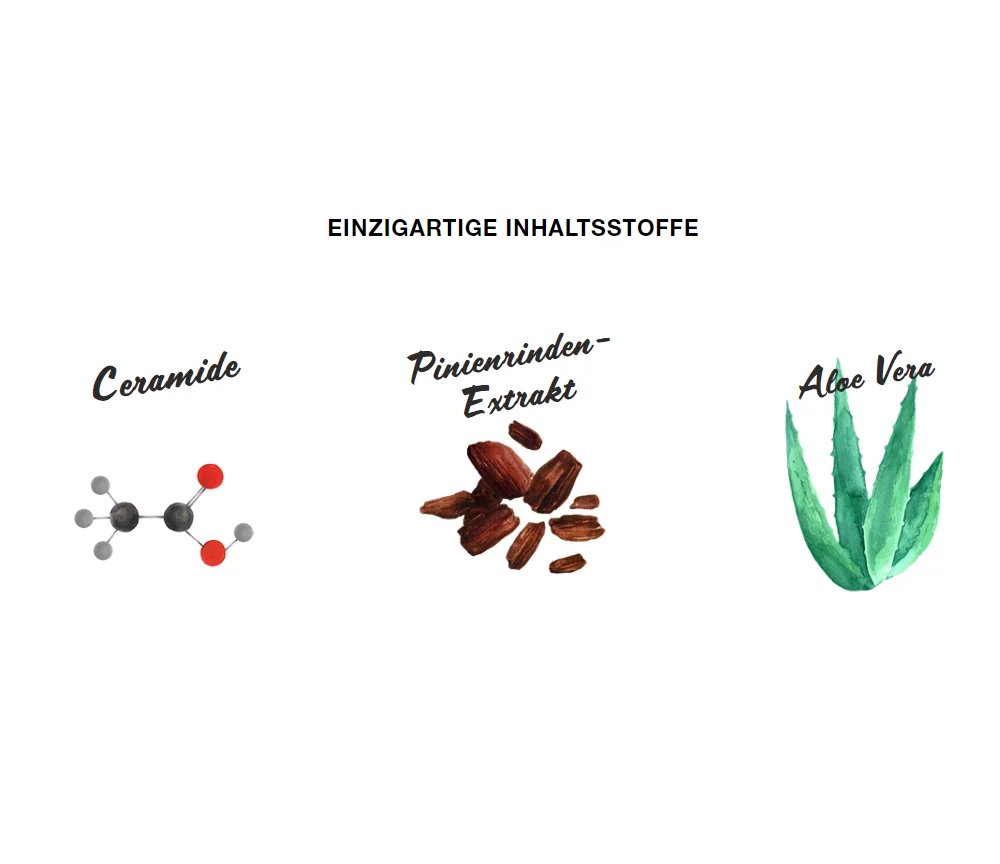 Forever - Aloe Deep Moisturizing Cream - feuchtigkeitsspendende Nachtcreme - 71g