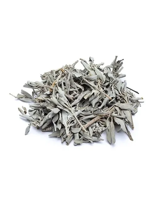 Räucherware - Weißer Salbei - (Salvia Apiana) - lose ca. 250gr.
