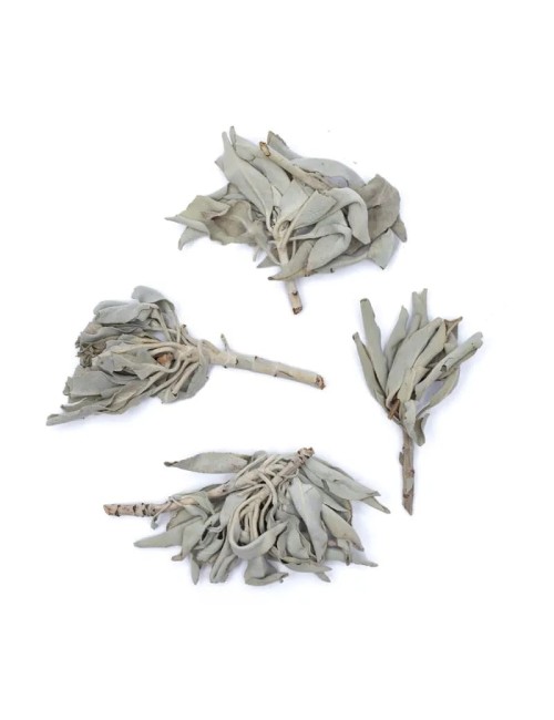 Räucherware - Weißer Salbei - (Salvia Apiana) - lose ca. 1000gr.