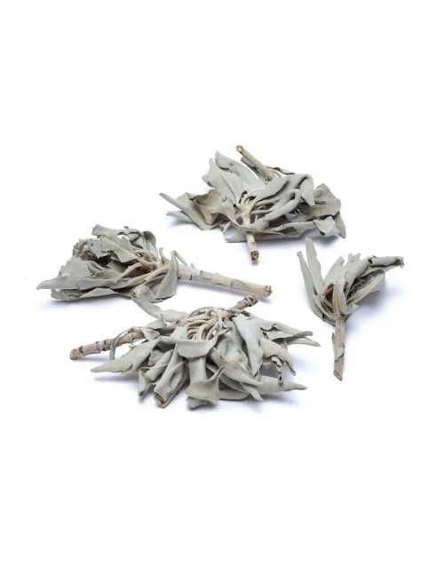 Räucherware - Weißer Salbei - (Salvia Apiana) - lose ca. 1000gr.