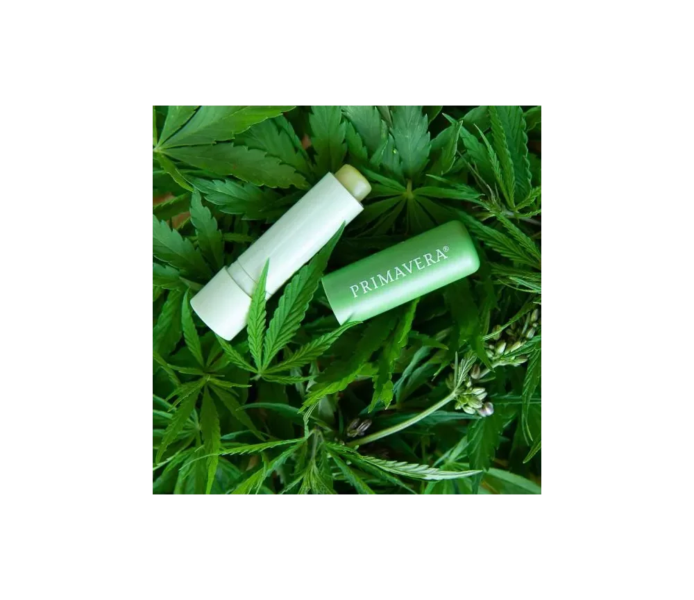 Primavera - Gesichtspflege - Lip Balm Care & Repair