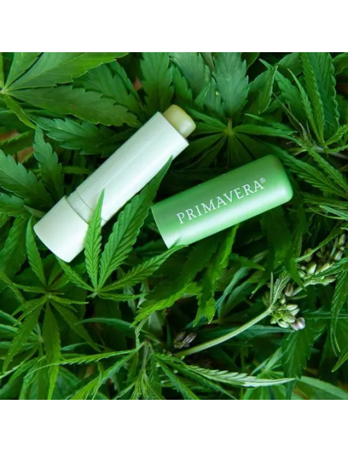 Primavera - Gesichtspflege - Lip Balm Care & Repair