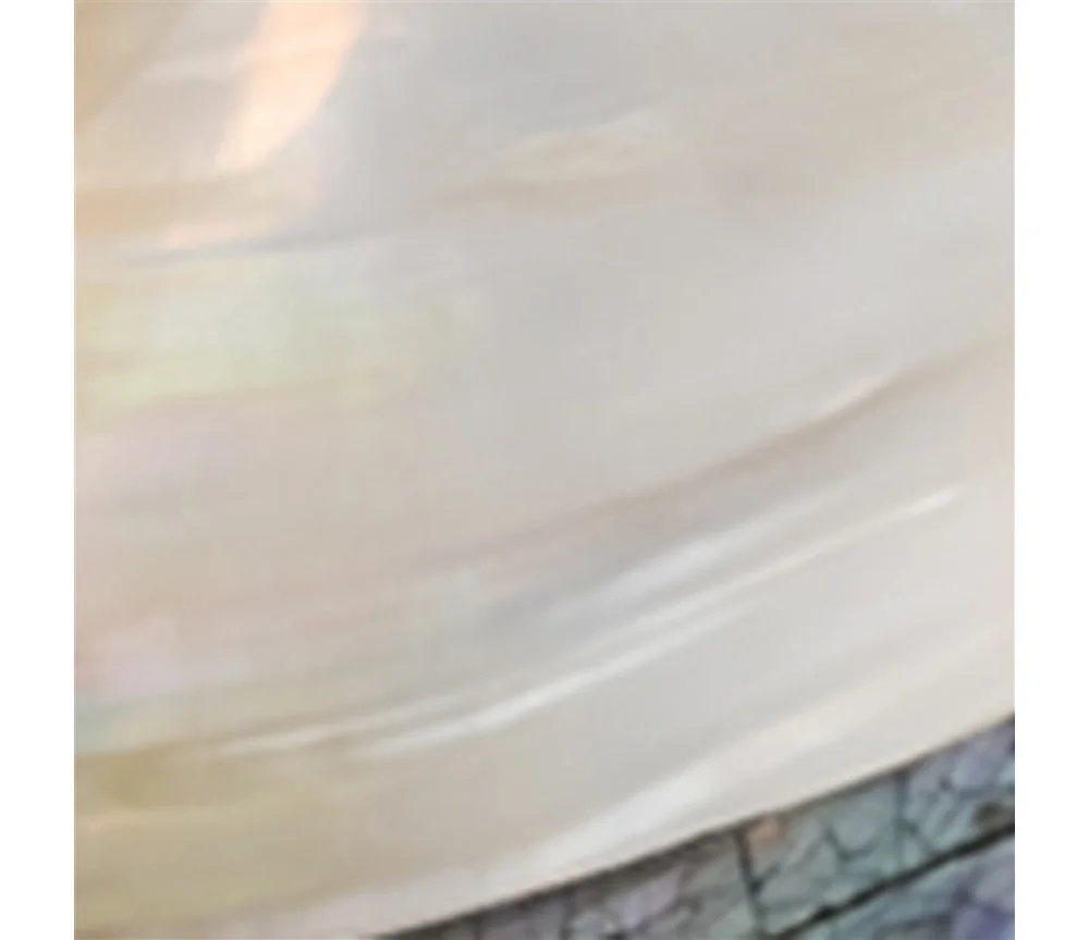 Aufbewahrungs - & Schmuck Dose - Muschel (Pseudodon) - ca. 20-22 x 11-13cm