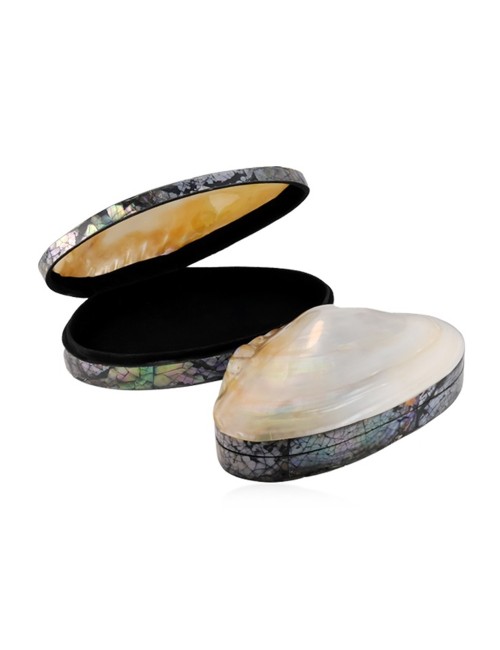 Aufbewahrungs - & Schmuck Dose - Muschel (Pseudodon) - ca. 20-22 x 11-13cm