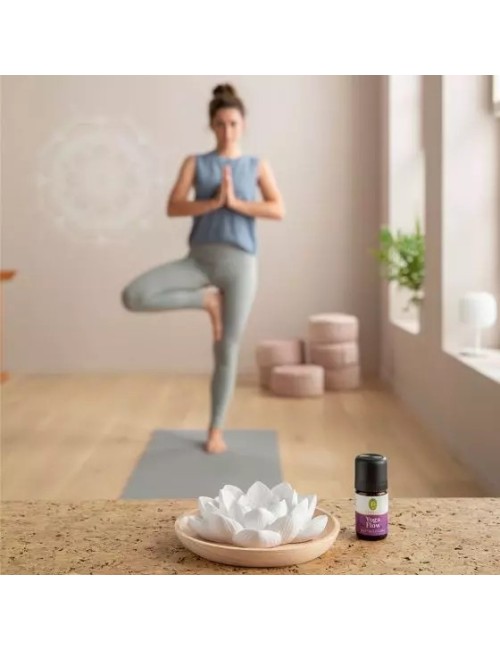 Primavera - Aroma Duftstein - Lotusblüte