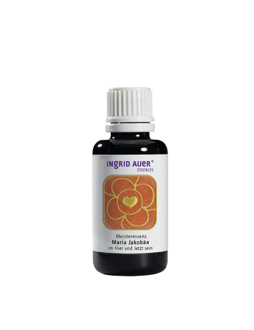 copy of copy of copy of copy of copy of copy of copy of Ingrid Auer - Engelessenz No. 17 - Engel für Wohlstand und Fülle - 30m