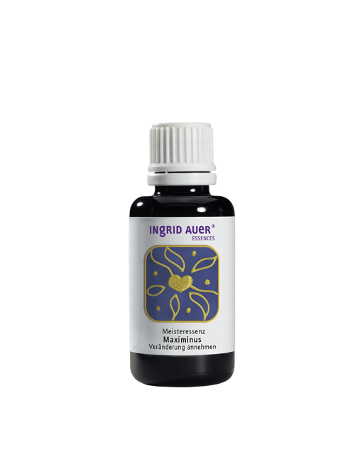 copy of copy of copy of copy of copy of copy of copy of copy of copy of copy of copy of Ingrid Auer - Engelessenz No. 17 - Engel