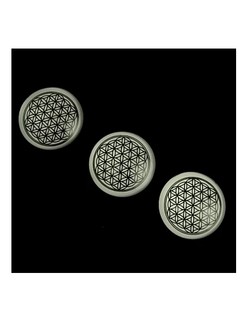 Magnet - Blume des Lebens - weiß/silber -ca. 4cm - 2 er Pack