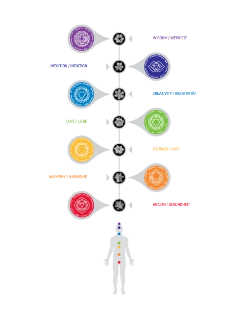 Nature's Design - Gläser Set - Chakra - 7tlg - mit farbigen Chakra Symbol auf Glasboden