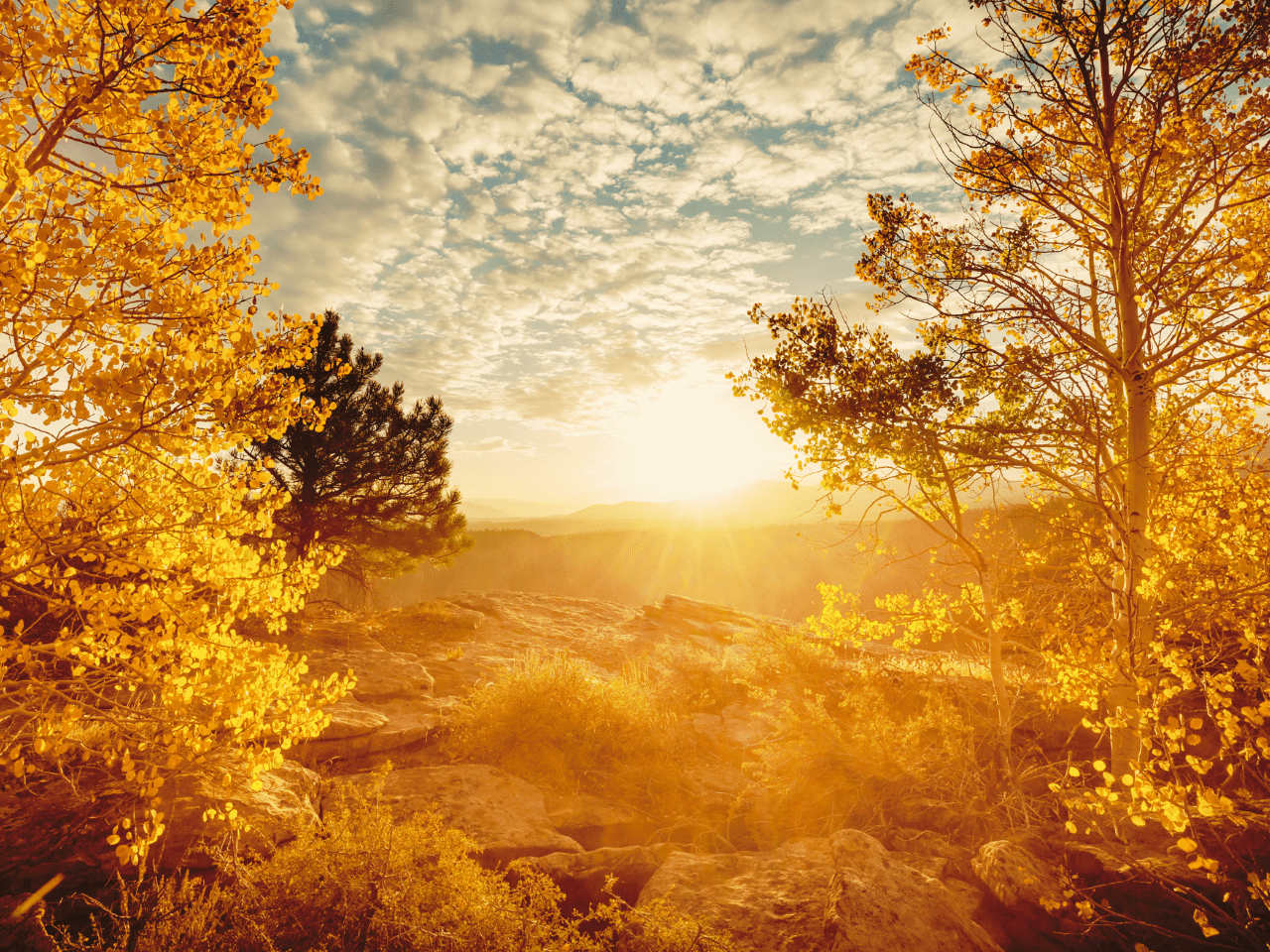 Themen & Saison Welt