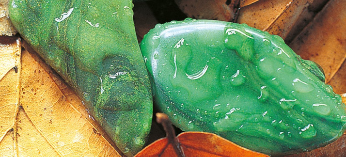 Heilstein des Monats: Prasem